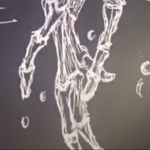 Meet your Posher, Rowan